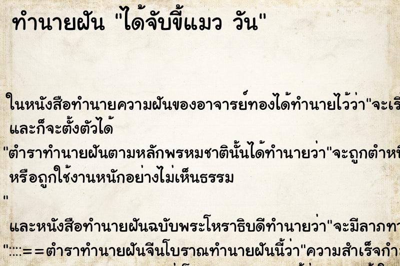 ทำนายฝันทำนายฝันได้จับขี้แมววัน